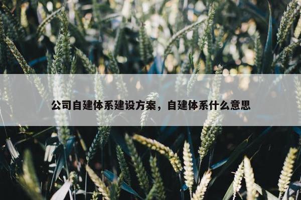 公司自建体系建设方案，自建体系什么意思