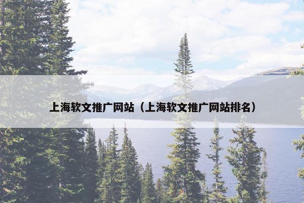 上海软文推广网站（上海软文推广网站排名）
