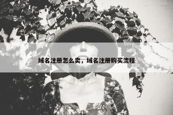 域名注册怎么卖，域名注册购买流程