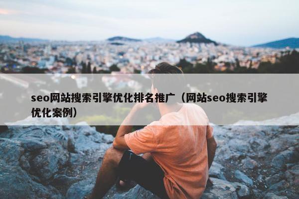 seo网站搜索引擎优化排名推广（网站seo搜索引擎优化案例）