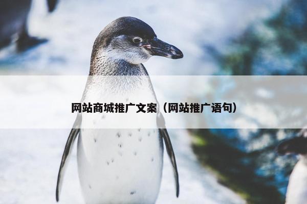 网站商城推广文案（网站推广语句）