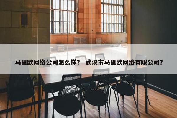 马里欧网络公司怎么样？ 武汉市马里欧网络有限公司？