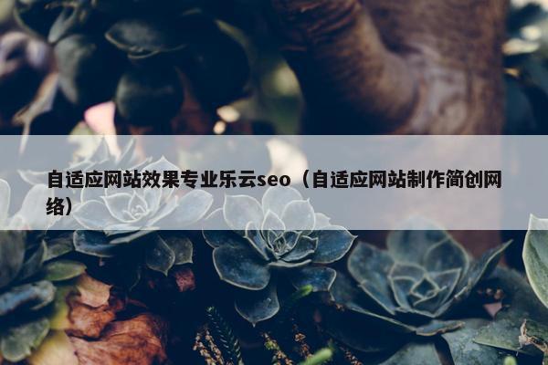 自适应网站效果专业乐云seo（自适应网站制作简创网络）