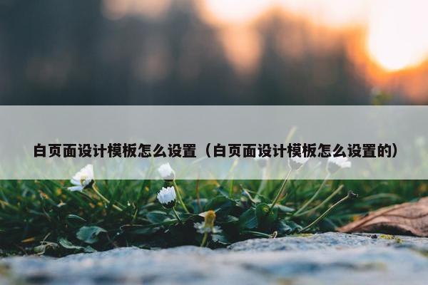 白页面设计模板怎么设置（白页面设计模板怎么设置的）