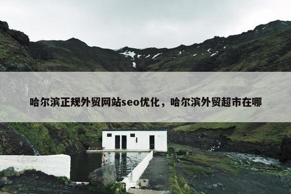 哈尔滨正规外贸网站seo优化，哈尔滨外贸超市在哪