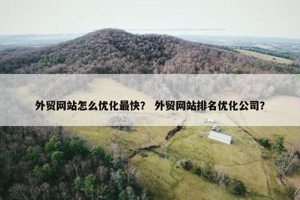 外贸网站怎么优化最快？ 外贸网站排名优化公司？