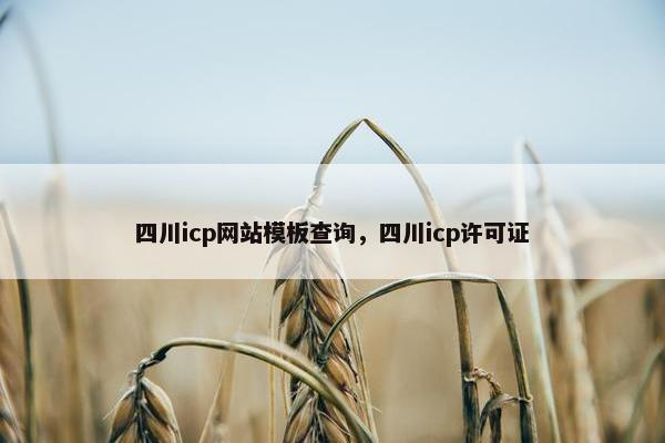 四川icp网站模板查询，四川icp许可证