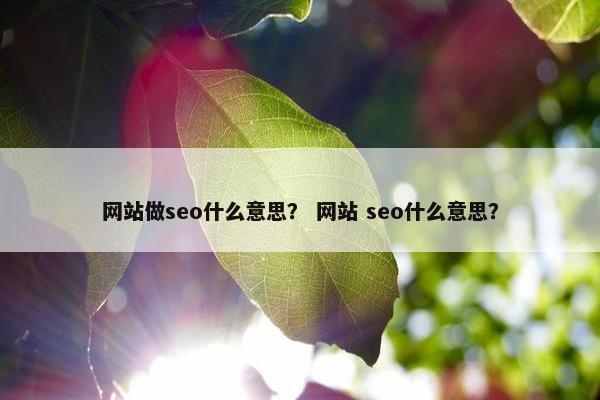 网站做seo什么意思？ 网站 seo什么意思？