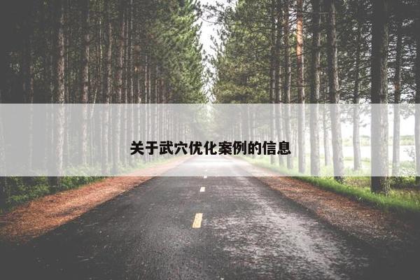 关于武穴优化案例的信息