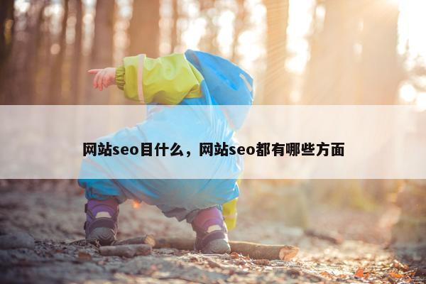 网站seo目什么，网站seo都有哪些方面