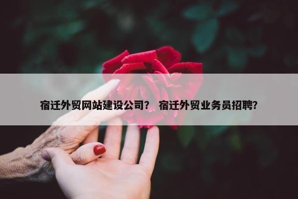 宿迁外贸网站建设公司？ 宿迁外贸业务员招聘？