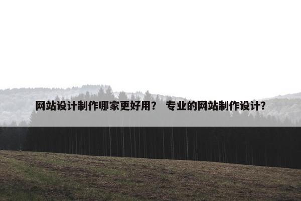 网站设计制作哪家更好用？ 专业的网站制作设计？