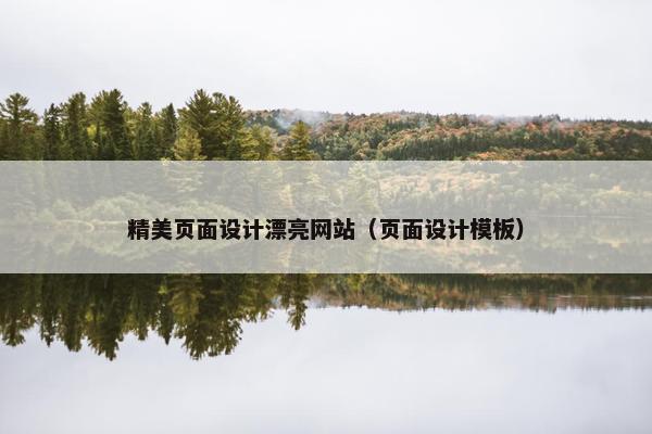 精美页面设计漂亮网站（页面设计模板）
