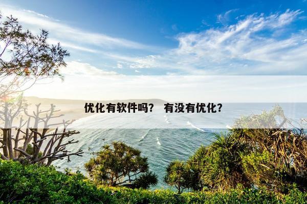 优化有软件吗？ 有没有优化？