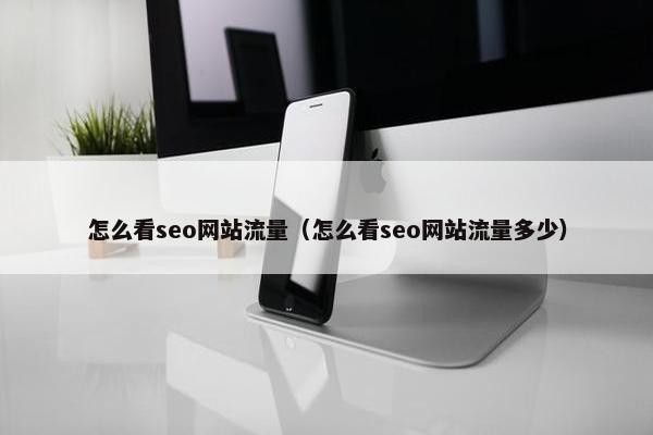 怎么看seo网站流量（怎么看seo网站流量多少）
