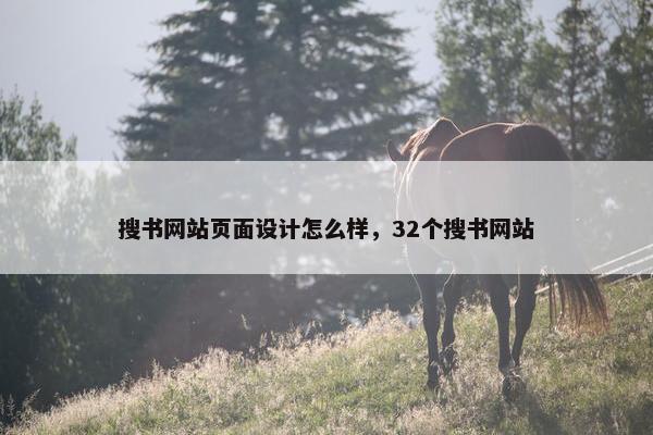 搜书网站页面设计怎么样，32个搜书网站