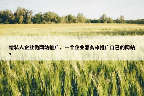 给私人企业做网站推广，一个企业怎么来推广自己的网站?