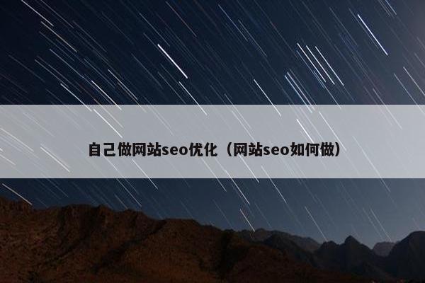 自己做网站seo优化（网站seo如何做）