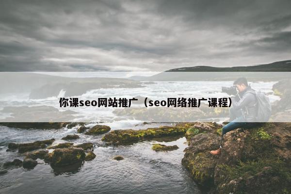 你课seo网站推广（seo网络推广课程）