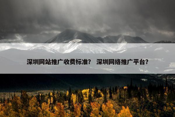 深圳网站推广收费标准？ 深圳网络推广平台？