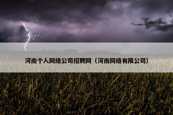 河南个人网络公司招聘网（河南网络有限公司）
