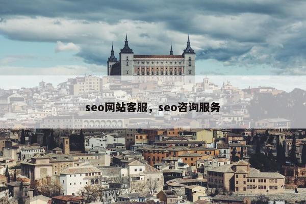 seo网站客服，seo咨询服务