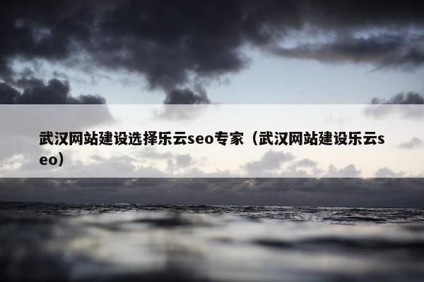 武汉网站建设选择乐云seo专家（武汉网站建设乐云seo）