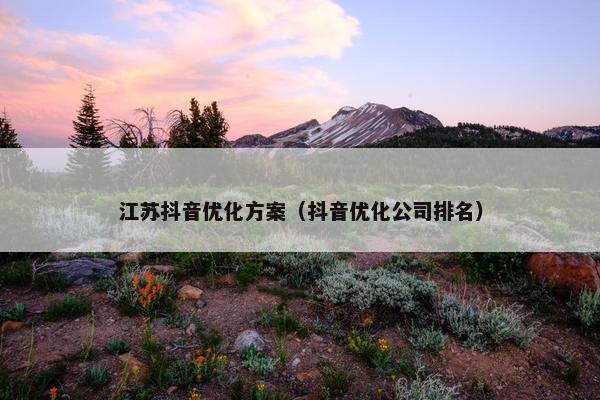 江苏抖音优化方案（抖音优化公司排名）