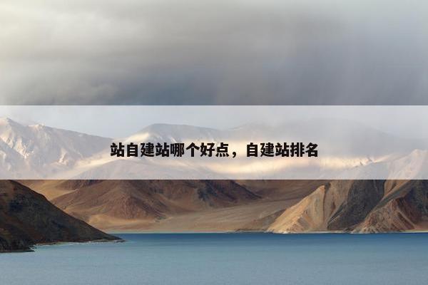 站自建站哪个好点，自建站排名