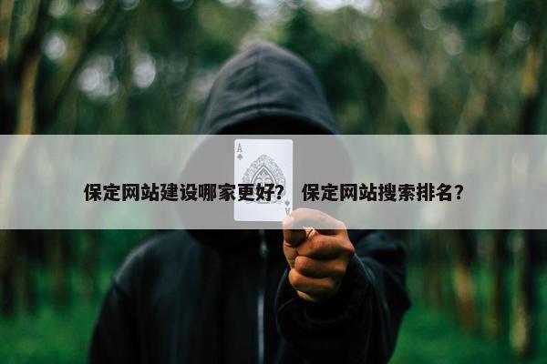 保定网站建设哪家更好？ 保定网站搜索排名？
