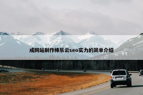 成网站制作棒乐云seo实力的简单介绍