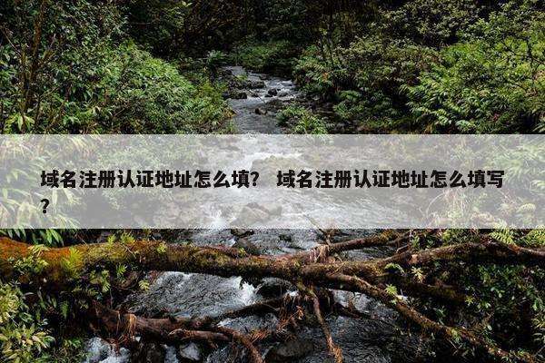 域名注册认证地址怎么填？ 域名注册认证地址怎么填写？
