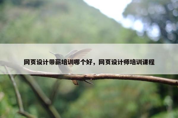 网页设计带薪培训哪个好，网页设计师培训课程