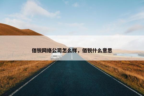 佰锐网络公司怎么样，佰锐什么意思