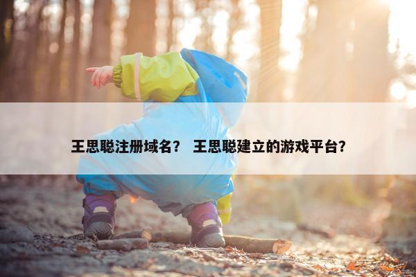 王思聪注册域名？ 王思聪建立的游戏平台？