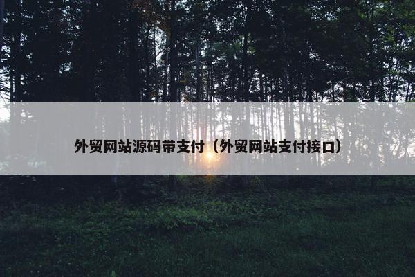 外贸网站源码带支付（外贸网站支付接口）