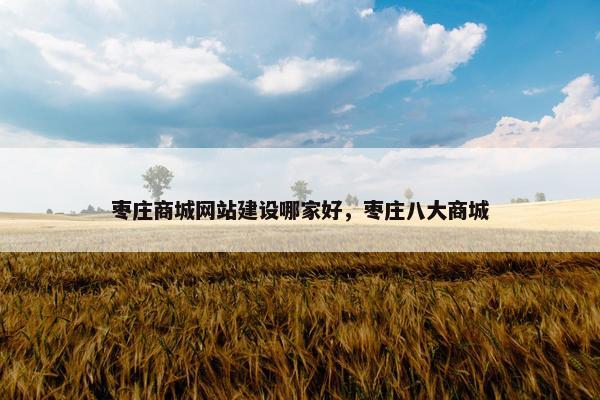 枣庄商城网站建设哪家好，枣庄八大商城
