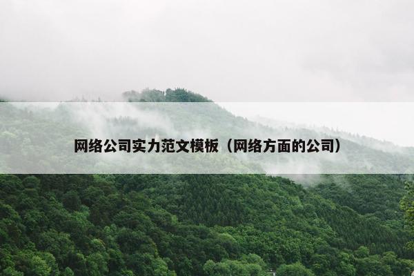 网络公司实力范文模板（网络方面的公司）
