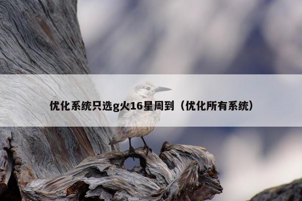 优化系统只选g火16星周到（优化所有系统）