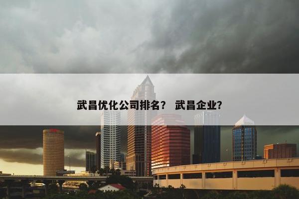 武昌优化公司排名？ 武昌企业？
