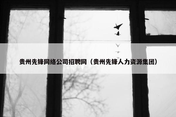 贵州先锋网络公司招聘网（贵州先锋人力资源集团）