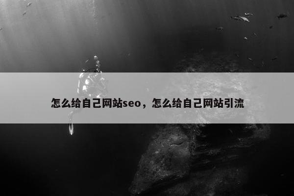 怎么给自己网站seo，怎么给自己网站引流