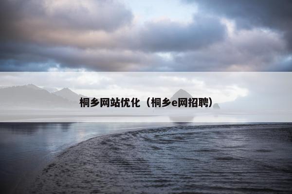 桐乡网站优化（桐乡e网招聘）
