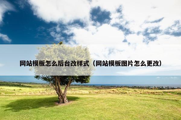 网站模板怎么后台改样式（网站模板图片怎么更改）