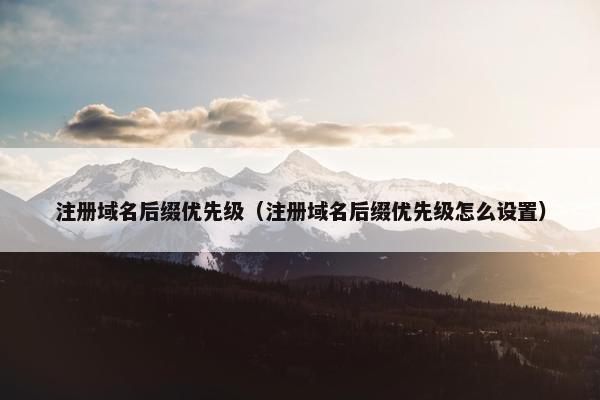 注册域名后缀优先级（注册域名后缀优先级怎么设置）