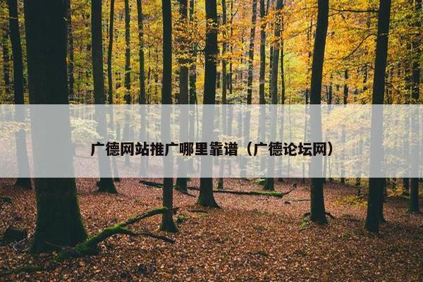 广德网站推广哪里靠谱（广德论坛网）