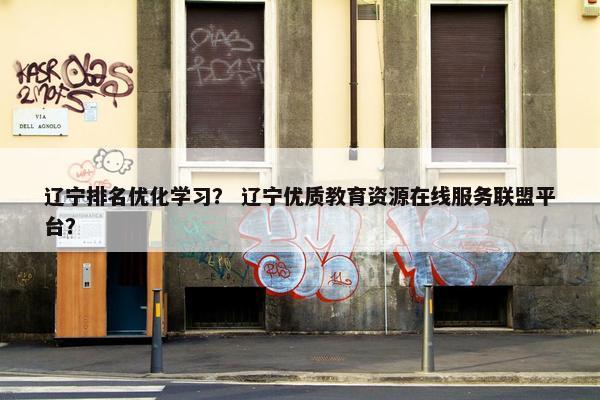 辽宁排名优化学习？ 辽宁优质教育资源在线服务联盟平台？