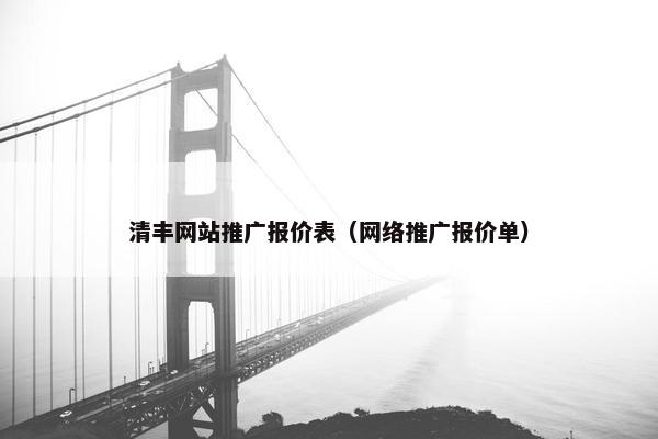 清丰网站推广报价表（网络推广报价单）