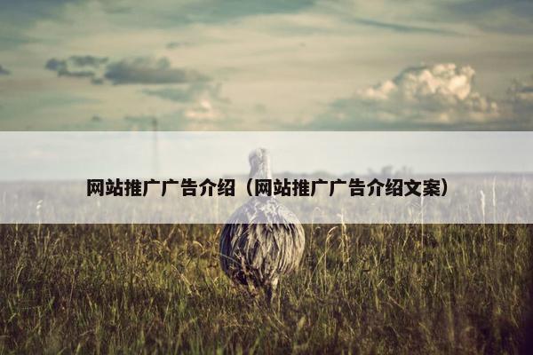 网站推广广告介绍（网站推广广告介绍文案）