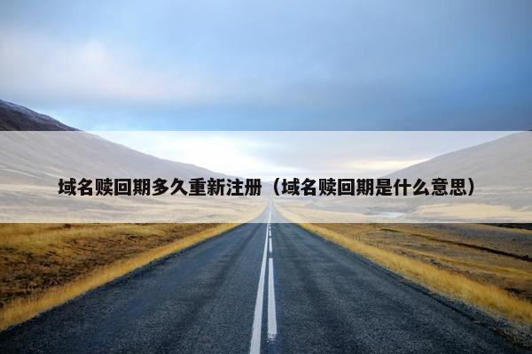 域名赎回期多久重新注册（域名赎回期是什么意思）